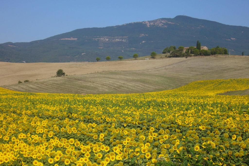 B&B Giuseppe Chiusi Buitenkant foto